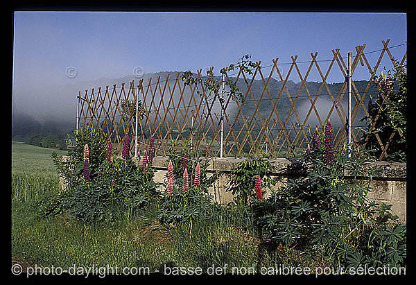 jardin - garden